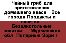 Чайный гриб для приготовления домашнего кваса - Все города Продукты и напитки » Безалкогольные напитки   . Мурманская обл.,Полярные Зори г.